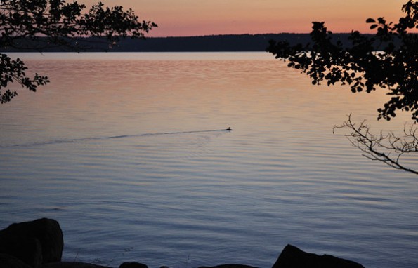 from 2012-16 – (Saturday rerun )