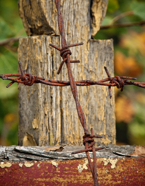 BarbedCross_0564