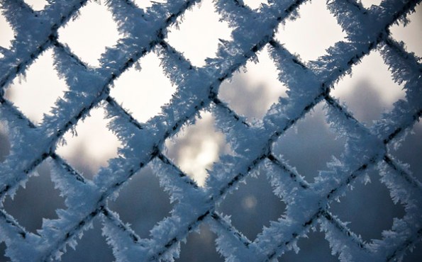 FrostedFence0_4250