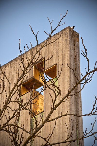 BranchesCrossBird4_4589