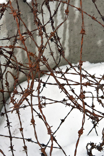 BarbedWire4_4394
