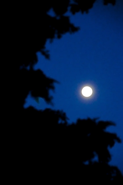 Fullmoon_5189