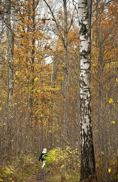 WomanFallForest6_6257