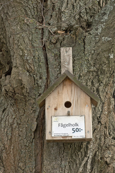 BirdHouse6_7524