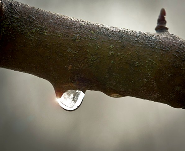 DropOf Universe9_8301