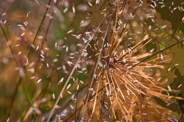 FreshGrassDryPines0_9105