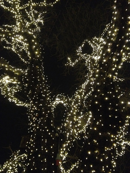 LightJeweledTree2_6902