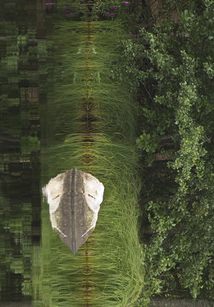 The picture is flipped 90° cw