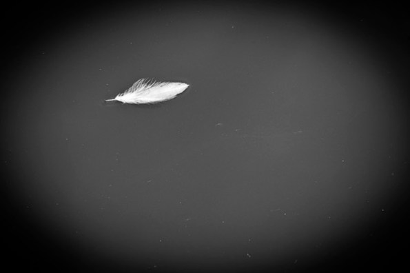 (... contined from yesterday. I hope I got you to listen to Alison Weir. Although I did underestimate the strength of the I-lobby, the three blogs about the AIPAC myth still own validity.) 