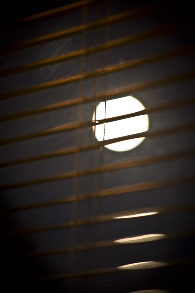 FullMoonBlinds8_1119