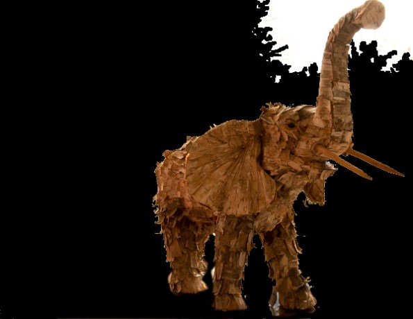 Elephant in the doom.