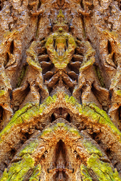 Official stamp of The Council of the Universe