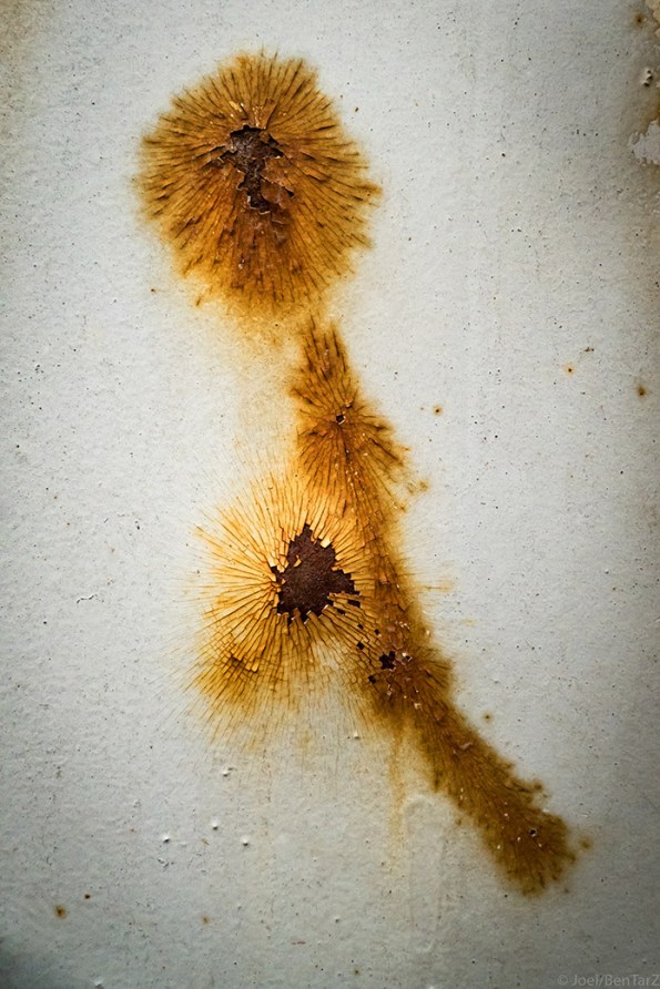 rustpregnant-1010322-2