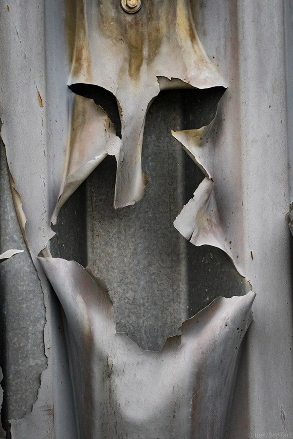 bigmouthnose-1020139