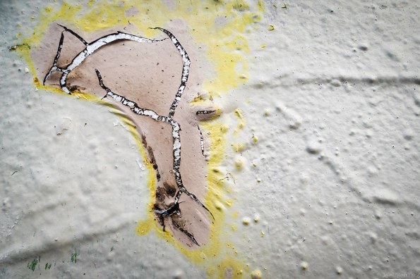 birchstriped-1020312