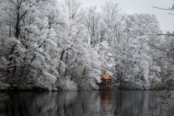 frosttreespavilion-1020572