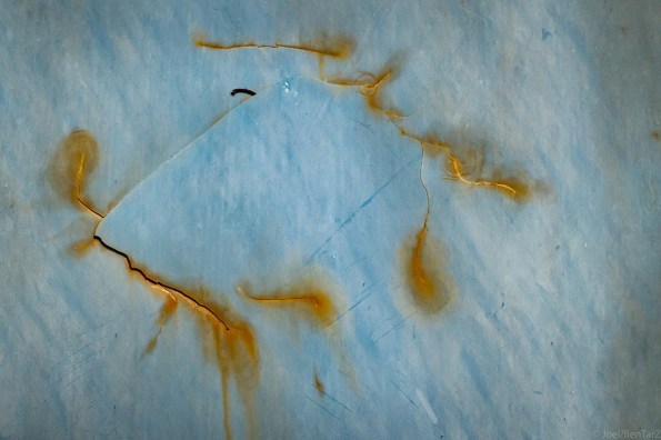 GoldHairHorse-1020835