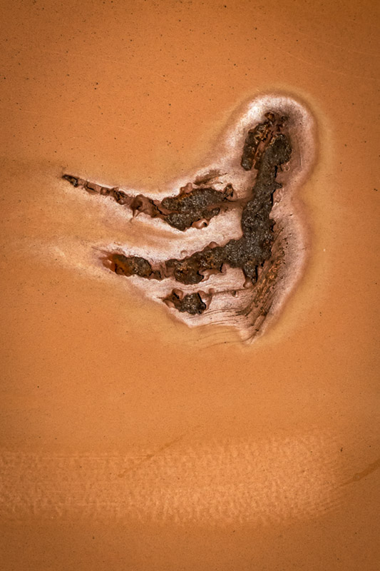 HolyBeggerΩ-1020705