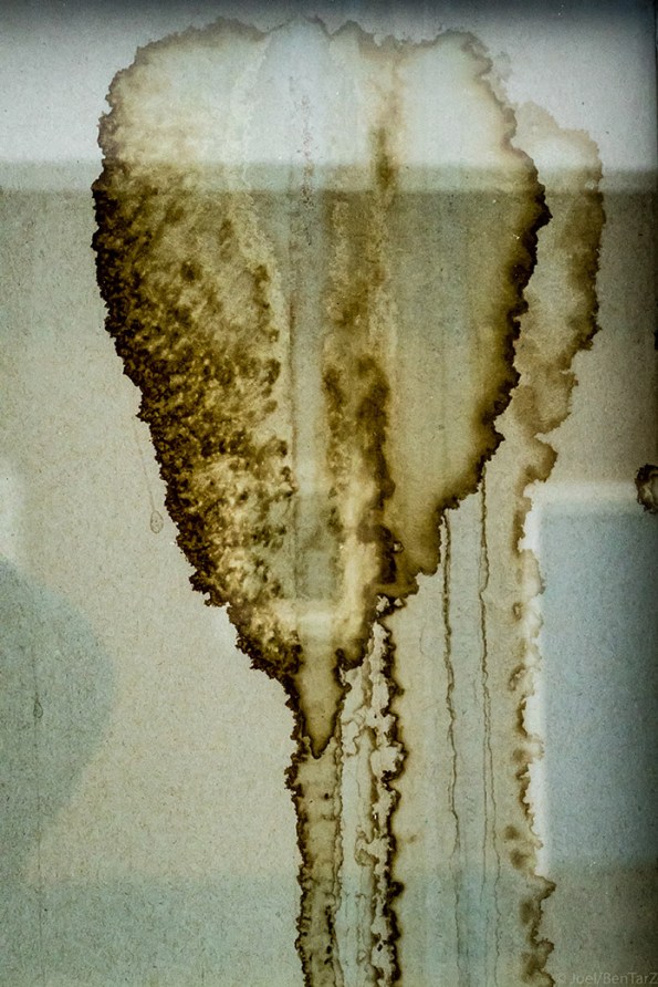 OrganicStains-1020675