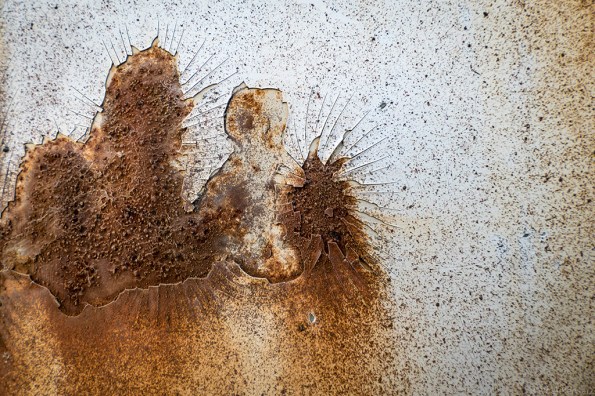 ThornySorrow-1020828