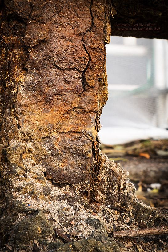 DeafLandMusic1040018