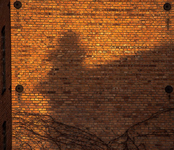 ShadowBrickWall-4303