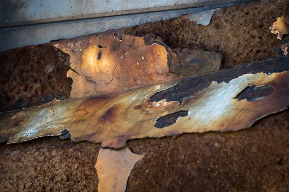 SharpNoseRust1030971