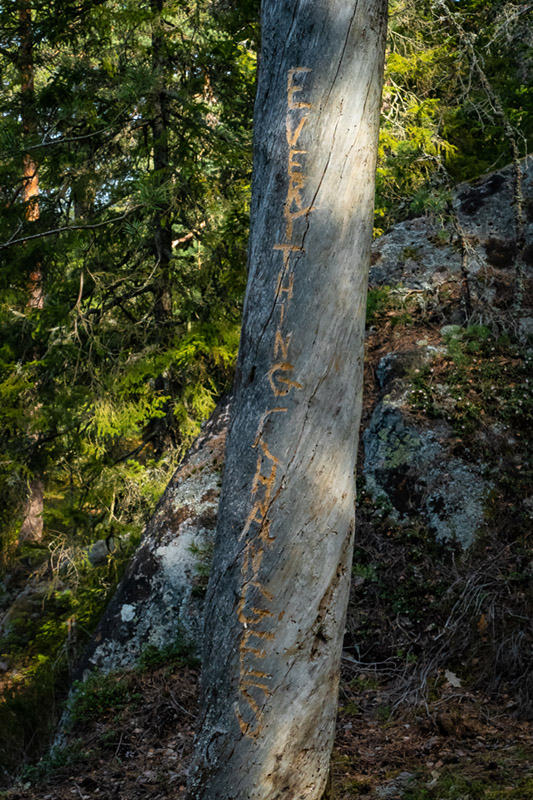 EverythingChanges-1050641