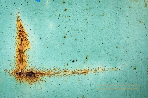 When you discovery your shortcommings, you can use them to pave your way.