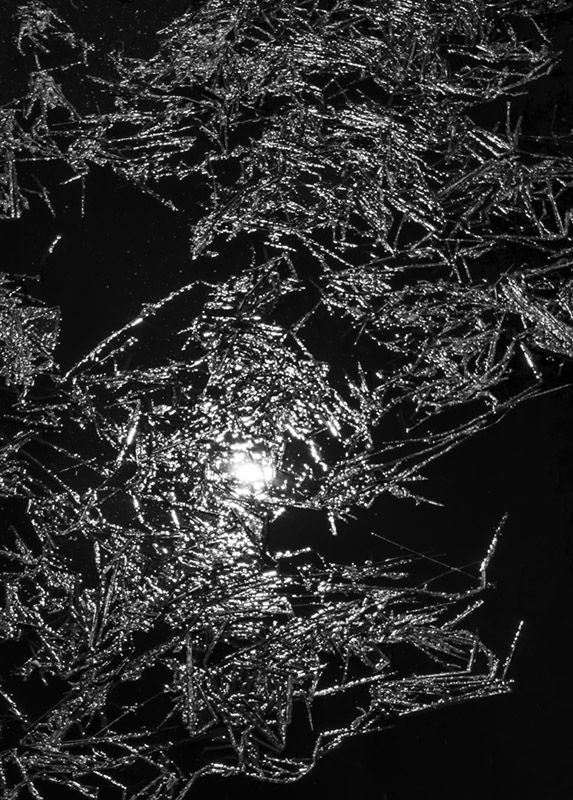 crystallight10507162