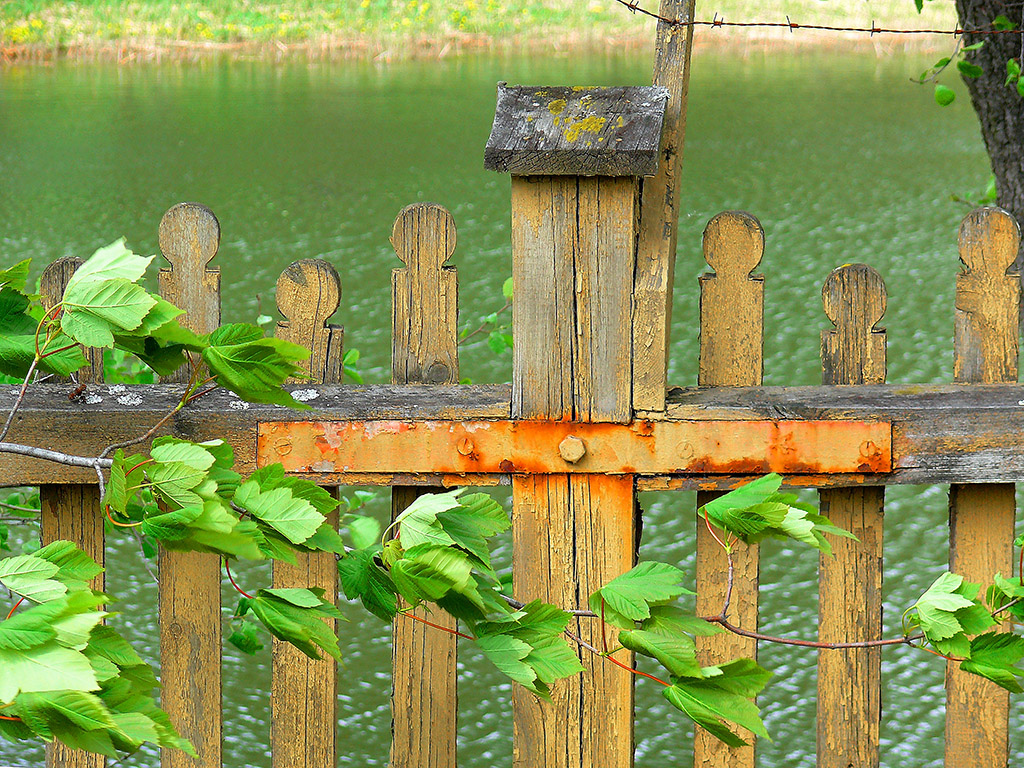 The wind and the cross