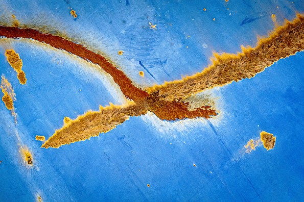 CollisionTrends-1070504