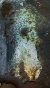 FuseEyesDtail-1020280