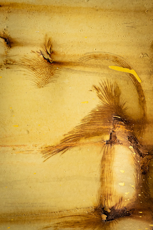 Thoughts you don’t want to see become feelings you don’t want to have.