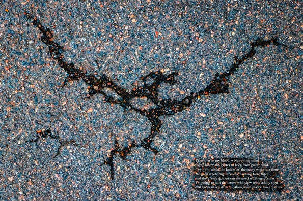 JusticeBird1000308_0072