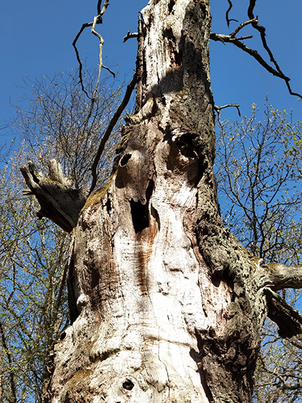 What don't you understand?